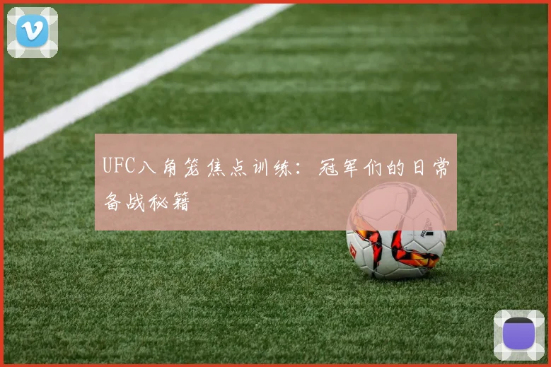 UFC八角笼焦点训练：冠军们的日常备战秘籍