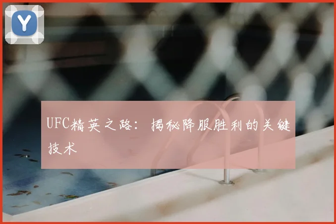 UFC精英之路:揭秘降服胜利的关键技术