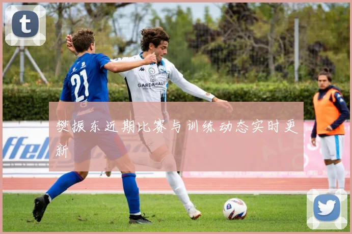 樊振东近期比赛与训练动态实时更新