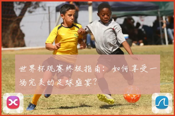 世界杯观赛终极指南:如何享受一场完美的足球盛宴?