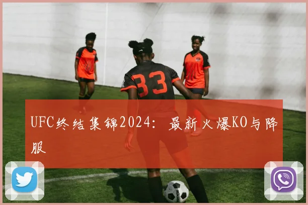 UFC终结集锦2024:最新火爆KO与降服
